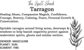 Witchuals - Rituals & Spellwork Apothecary - Tarragon