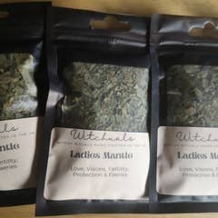 Witchuals - Rituals & Spellwork Apothecary - Ladies Mantle