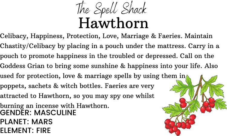 Witchuals - Rituals & Spellwork Apothecary - Hawthorn Leaves