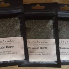 Witchuals - Rituals & Spellwork Apothecary - Plantain
