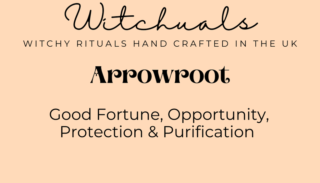 Witchuals - Rituals & Spellwork Apothecary - Arrowroot