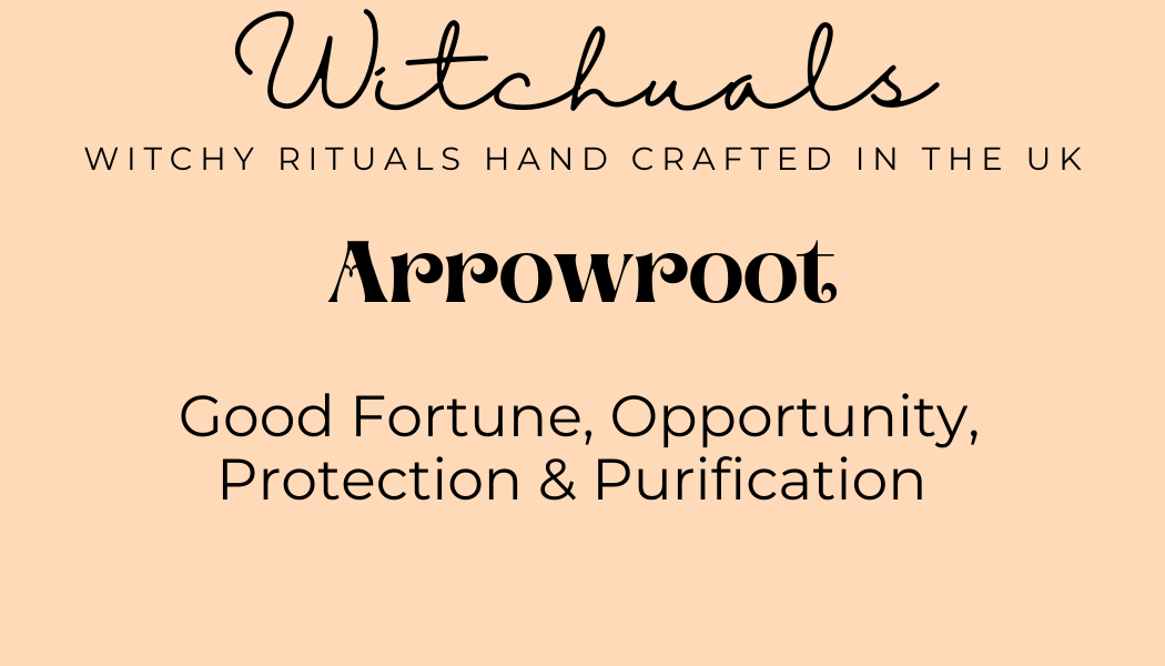 Witchuals - Rituals & Spellwork Apothecary - Arrowroot