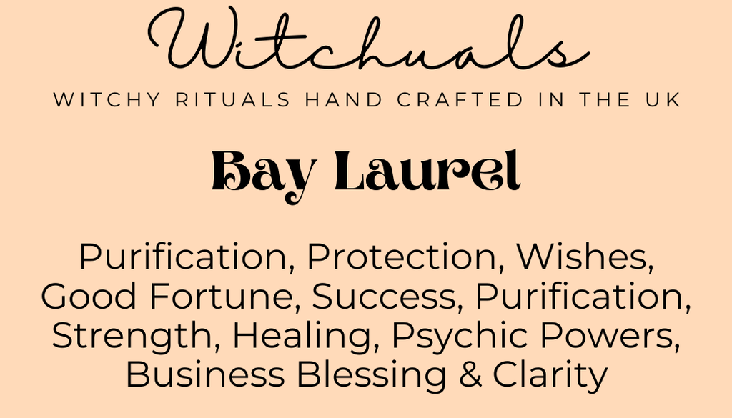 Witchuals - Rituals & Spellwork Apothecary - Bay Laurel