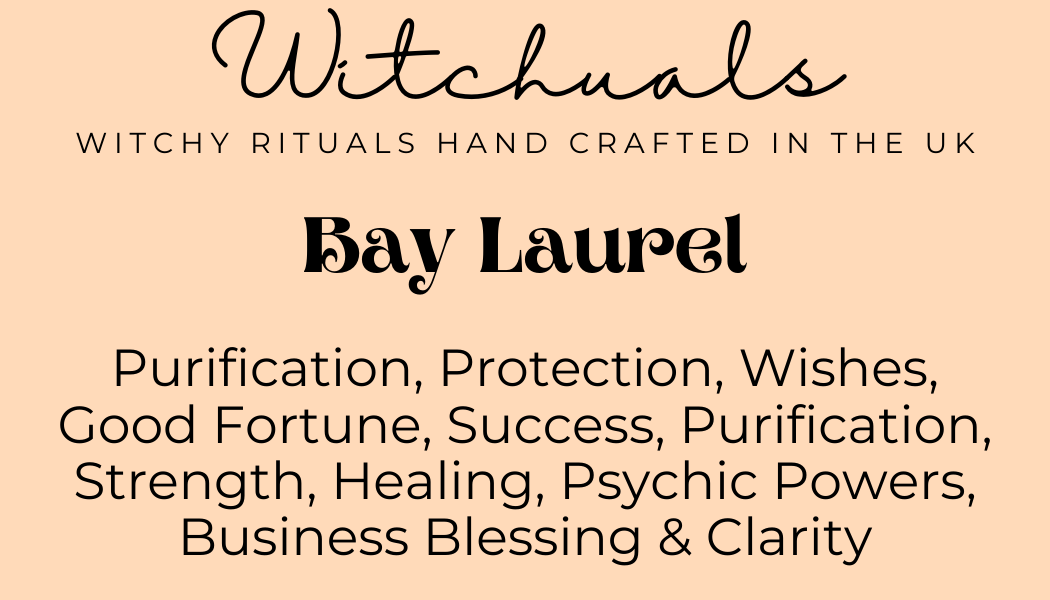 Witchuals - Rituals & Spellwork Apothecary - Bay Laurel