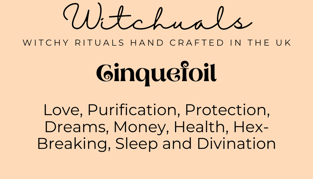 Witchuals - Rituals & Spellwork Apothecary - Cinquefoil