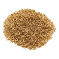 Witchuals - Rituals & Spellwork Apothecary - Cumin Seeds