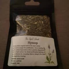 Witchuals - Rituals & Spellwork Apothecary - Hyssop