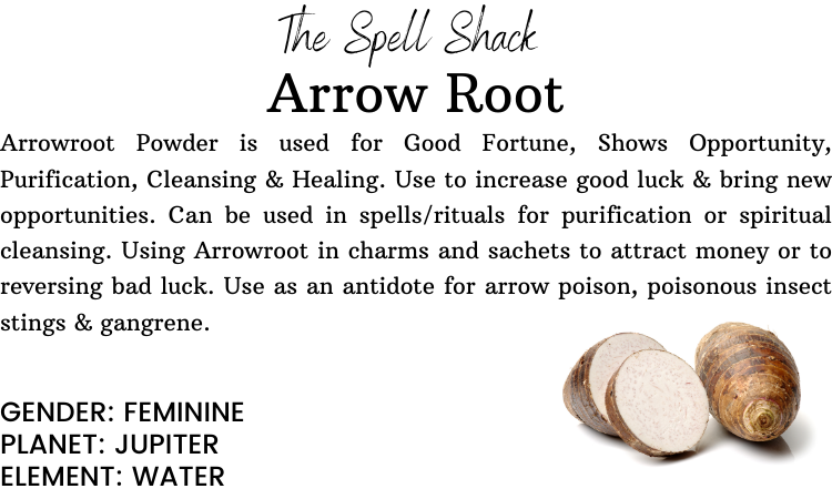 Witchuals - Rituals & Spellwork Apothecary - Arrowroot