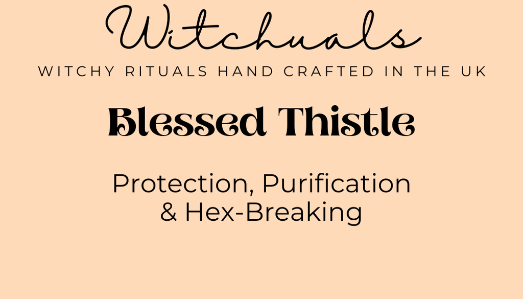 Witchuals - Rituals & Spellwork Apothecary - Blessed Thistle