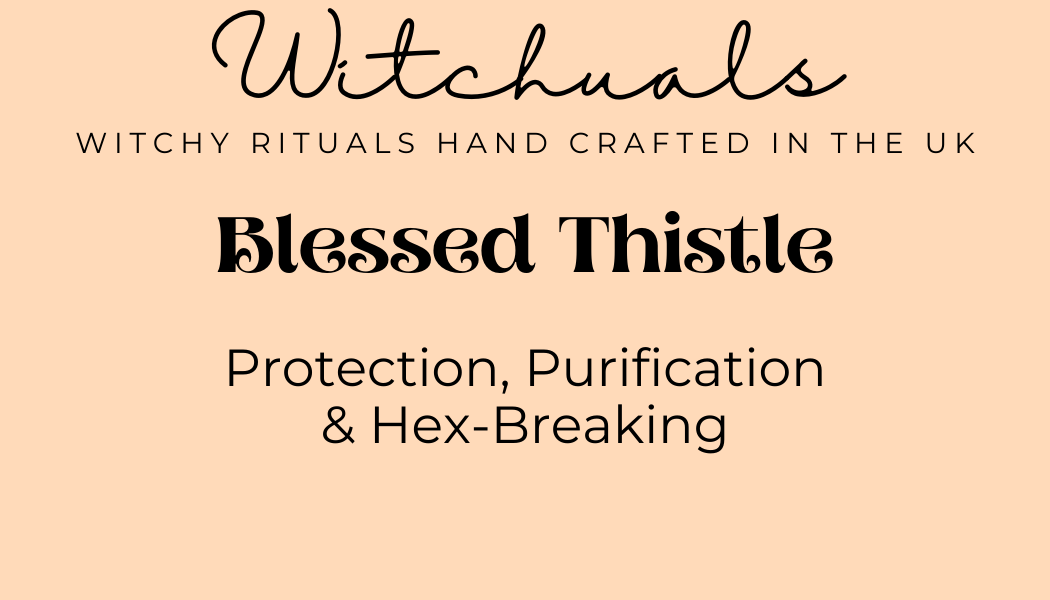 Witchuals - Rituals & Spellwork Apothecary - Blessed Thistle