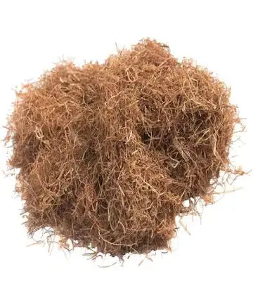 Witchuals - Rituals & Spellwork Apothecary - Corn Silk