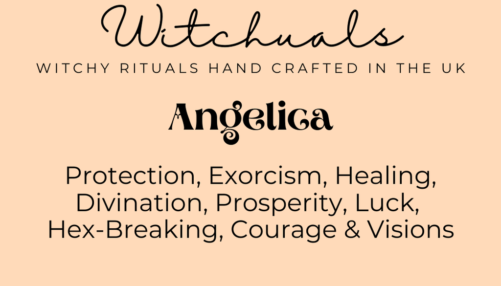 Witchuals - Rituals & Spellwork Apothecary - Angelica