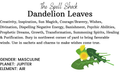 Witchuals - Rituals & Spellwork Apothecary - Dandelion Leaves