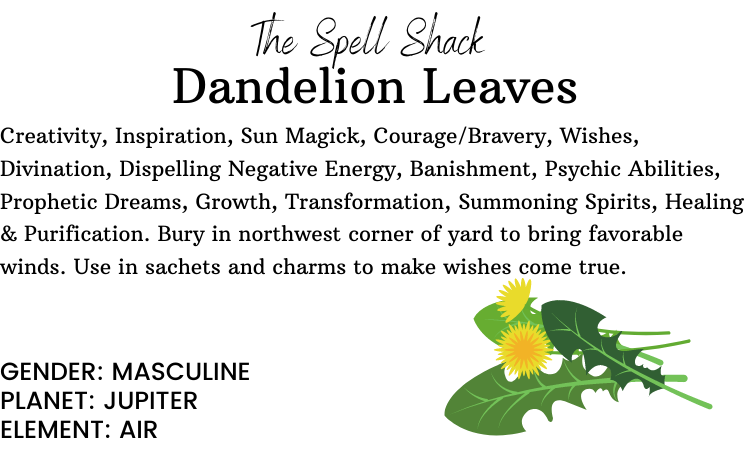 Witchuals - Rituals & Spellwork Apothecary - Dandelion Leaves
