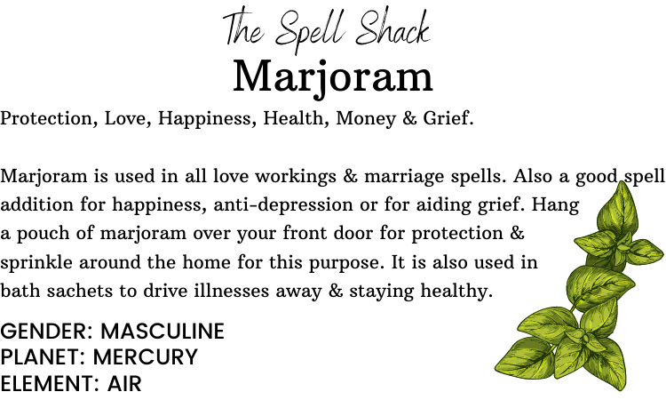 Witchuals - Rituals & Spellwork Apothecary - Marjoram