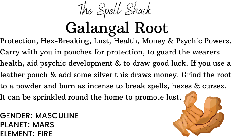 Witchuals - Rituals & Spellwork Apothecary - Galangal Root