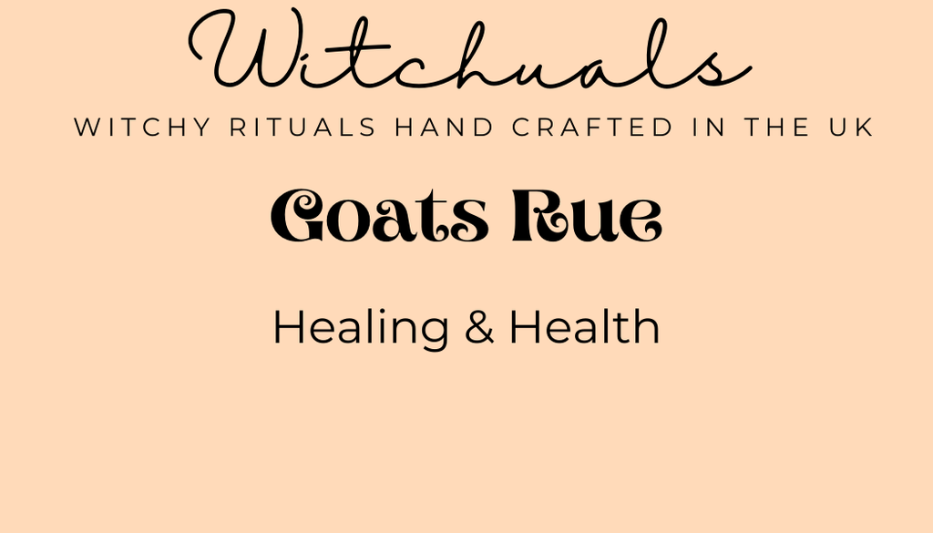 Witchuals - Rituals & Spellwork Apothecary - Goat's Rue