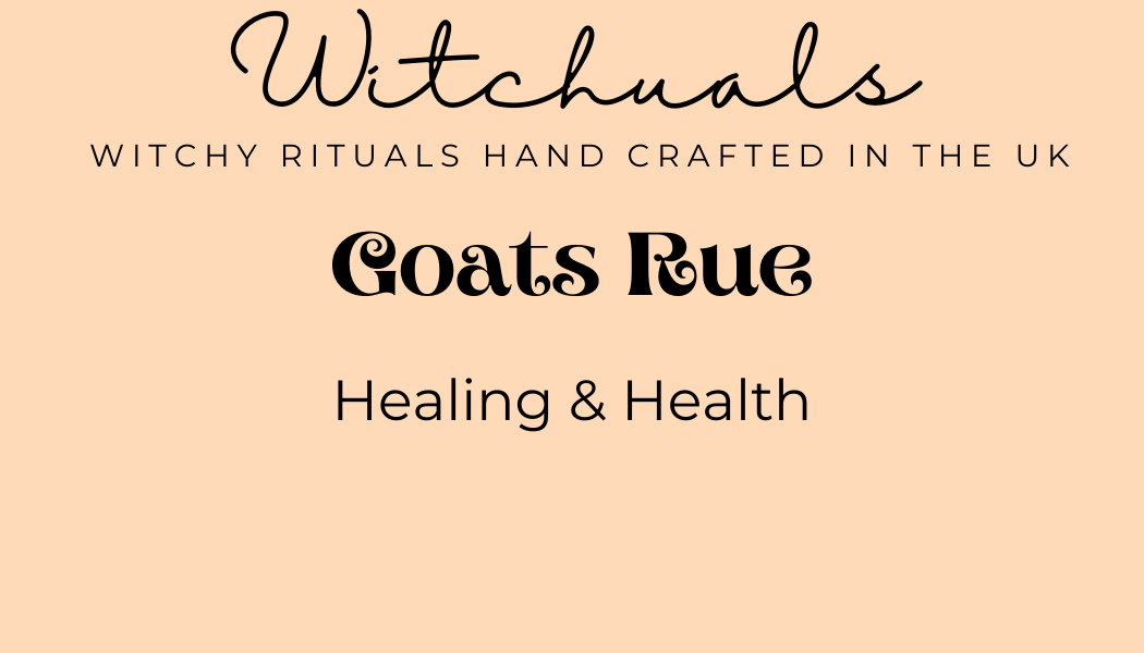 Witchuals - Rituals & Spellwork Apothecary - Goat's Rue