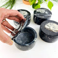 Orthoceras and Ammonite Round Box Fossil Display