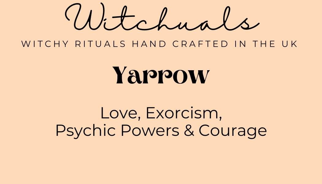 Witchuals - Rituals & Spellwork Apothecary - Yarrow