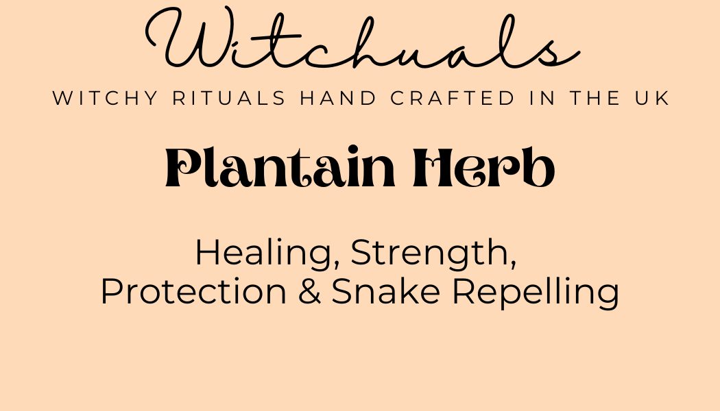 Witchuals - Rituals & Spellwork Apothecary - Plantain