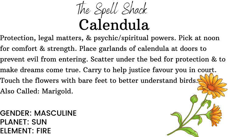 Witchuals - Rituals & Spellwork Apothecary - Calendula