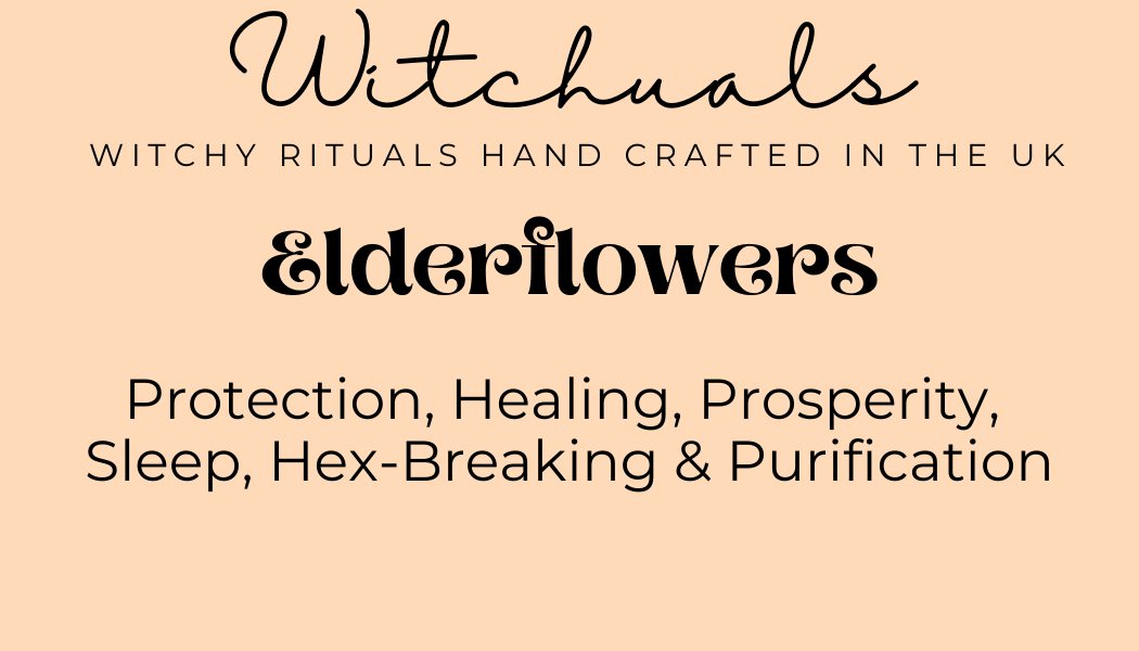 Witchuals - Rituals & Spellwork Apothecary - Elderflowers